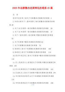 2026年巡察整改进展情况的通报45篇