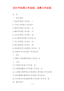 2026年巡视工作总结、巡察工作总结