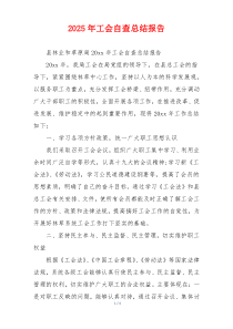 2026年工会自查总结报告