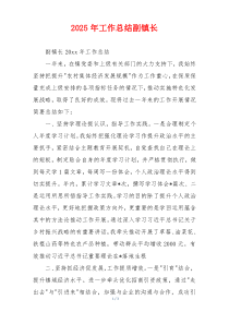 2026年工作总结副镇长