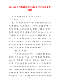 2026年工作总结和2026年工作计划应急管理局