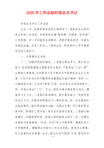2026年工作总结村党总支书记