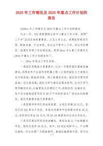 2026年工作情况及2026年重点工作计划的报告