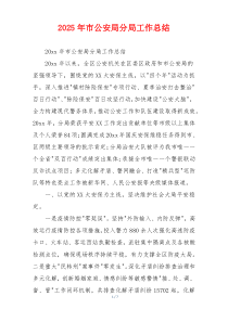 2026年市公安局分局工作总结