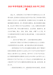 2026年市司法局工作总结及2026年工作打算
