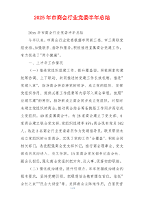 2026年市商会行业党委半年总结