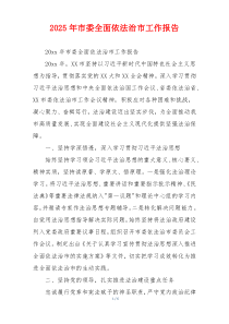 2026年市委全面依法治市工作报告
