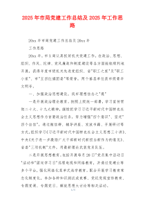 2026年市局党建工作总结及2026年工作思路