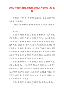 2026年市应急管理系统全面从严治党工作报告