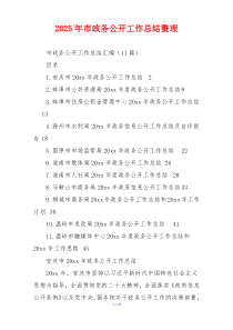 2026年市政务公开工作总结整理