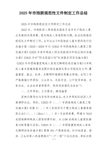 2026年市残联规范性文件制定工作总结