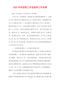 2026年市法院工作总结和工作安排