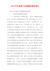 2026年市直部门巡查整改情况报告