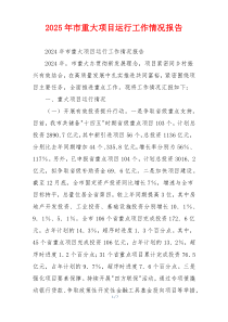 2026年市重大项目运行工作情况报告