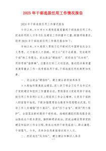 2026年干部选拔任用工作情况报告