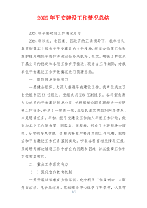 2026年平安建设工作情况总结