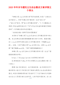 2026年年末专题民主生活会整改方案详情五个带头