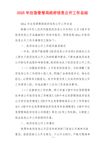 2026年应急管理局政府信息公开工作总结