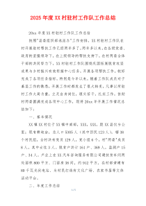 2026年度XX村驻村工作队工作总结