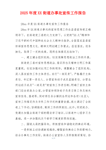 2026年度XX街道办事处宣传工作报告