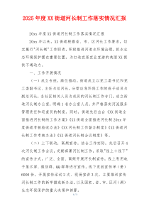 2026年度XX街道河长制工作落实情况汇报