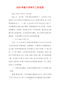 2026年度X市审计工作总结