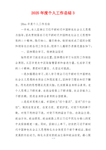 2026年度个人工作总结3