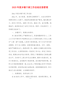 2026年度乡镇干部工作总结应急管理