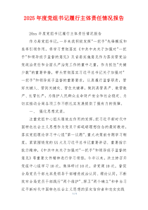 2026年度党组书记履行主体责任情况报告