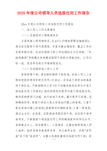2026年度公司领导人员选拔任用工作报告