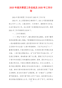 2026年度共青团工作总结及2026年工作计划