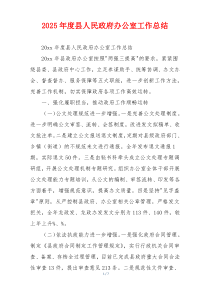 2026年度县人民政府办公室工作总结