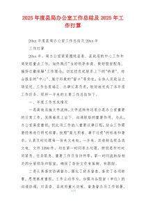 2026年度县局办公室工作总结及2026年工作打算