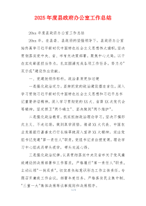 2026年度县政府办公室工作总结