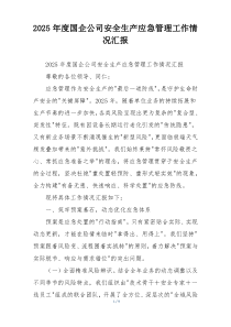 2026年度国企公司安全生产应急管理工作情况汇报