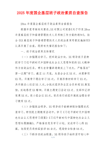 2026年度国企基层班子政治素质自查报告