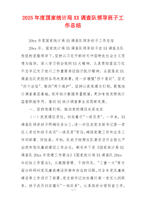 2026年度国家统计局XX调查队领导班子工作总结