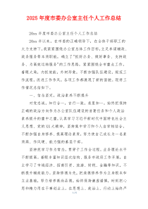 2026年度市委办公室主任个人工作总结