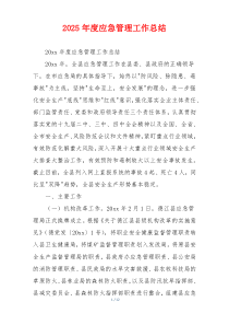 2026年度应急管理工作总结