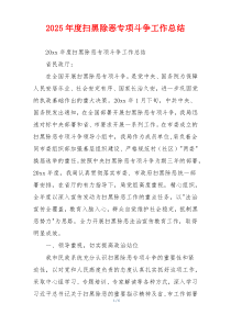 2026年度扫黑除恶专项斗争工作总结