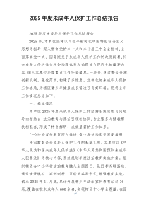 2026年度未成年人保护工作总结报告