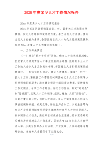 2026年度某乡人才工作情况报告