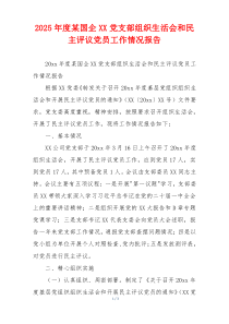 2026年度某国企XX党支部组织生活会和民主评议党员工作情况报告