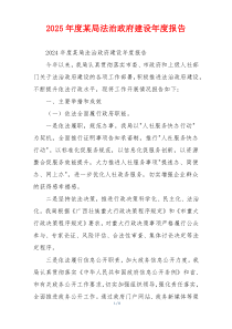 2026年度某局法治政府建设年度报告