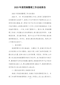 2026年度档案整理工作总结报告