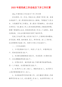 2026年度民政工作总结及下步工作打算