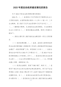2026年度法治政府建设情况的报告