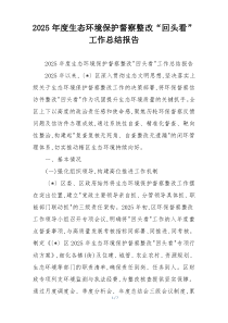 2026年度生态环境保护督察整改“回头看”工作总结报告