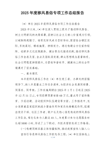 2026年度移风易俗专项工作总结报告