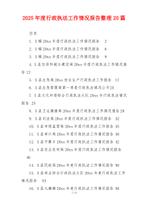 2026年度行政执法工作情况报告整理20篇